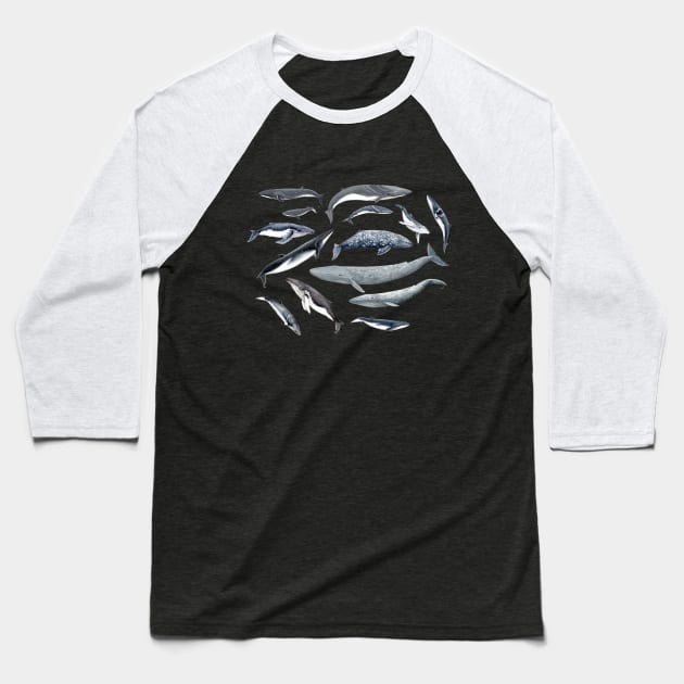 Whales all around Baseball T-Shirt by chloeyzoard